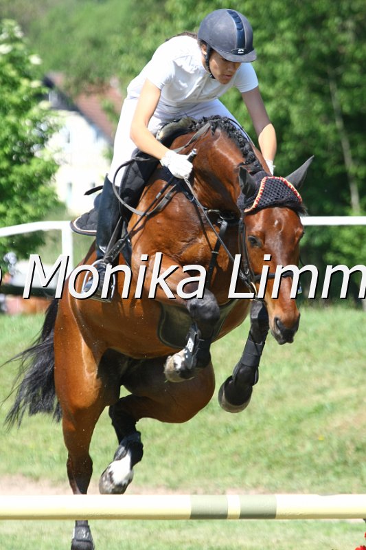 105M9714_Upper Class_Spingpf_A.JPG